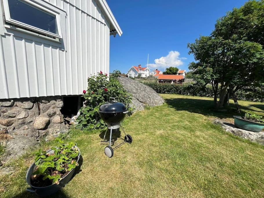 Havsutsikt Pa Vrangoe! Semesterbostad *